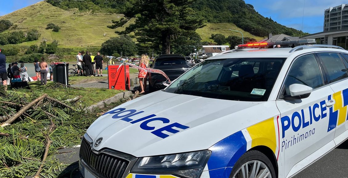 Νέα-Ζηλανδία:-Εξανεμίζονται-οι-ελπίδες-για-την-ανεύρεση-επιζώντων-μετά-την-κατολίσθηση-που-έπληξε-κατασκήνωση