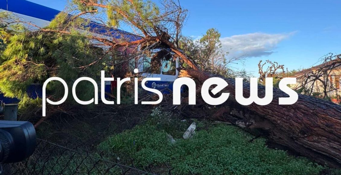 Στο-νοσοκομείο-μηχανοδηγός-τρένου-επάνω-στο-οποίο-έπεσαν-μεγάλα-κλαδιά-δέντρου