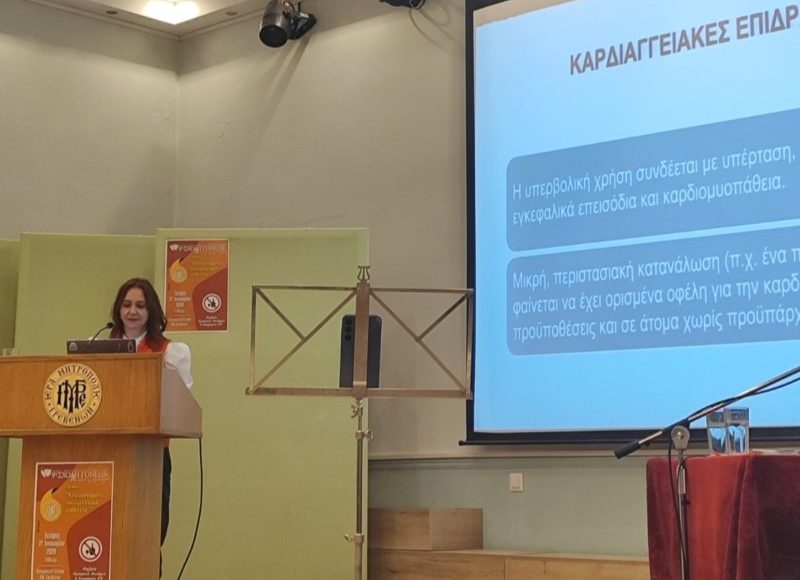 Η-ασθένεια-του-Αλκοολισμού-στην-Σχολή-Γονέων-και-Νέων-Ζευγαριών-της-ΙΜ.-Γρεβενών