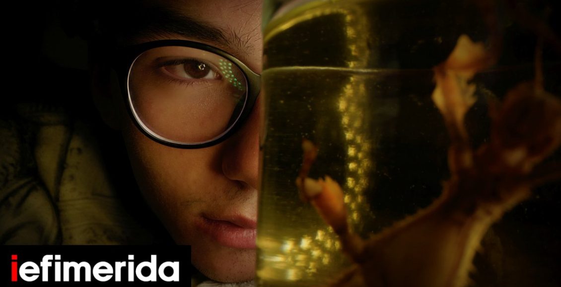 Τα-57-μεγάλου-μήκους-ελληνικά-ντοκιμαντέρ-που-θα-δούμε-στο-Φεστιβάλ-Θεσσαλονίκης-Και-διαδικτυακά,-ο-τρόπος