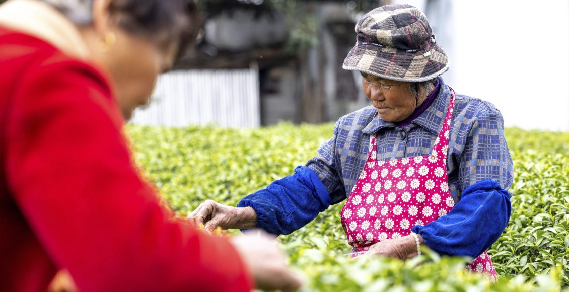 Το-σχέδιο-της-Κίνας-για-την-παγκόσμια-κυριαρχία-στο-τσάι