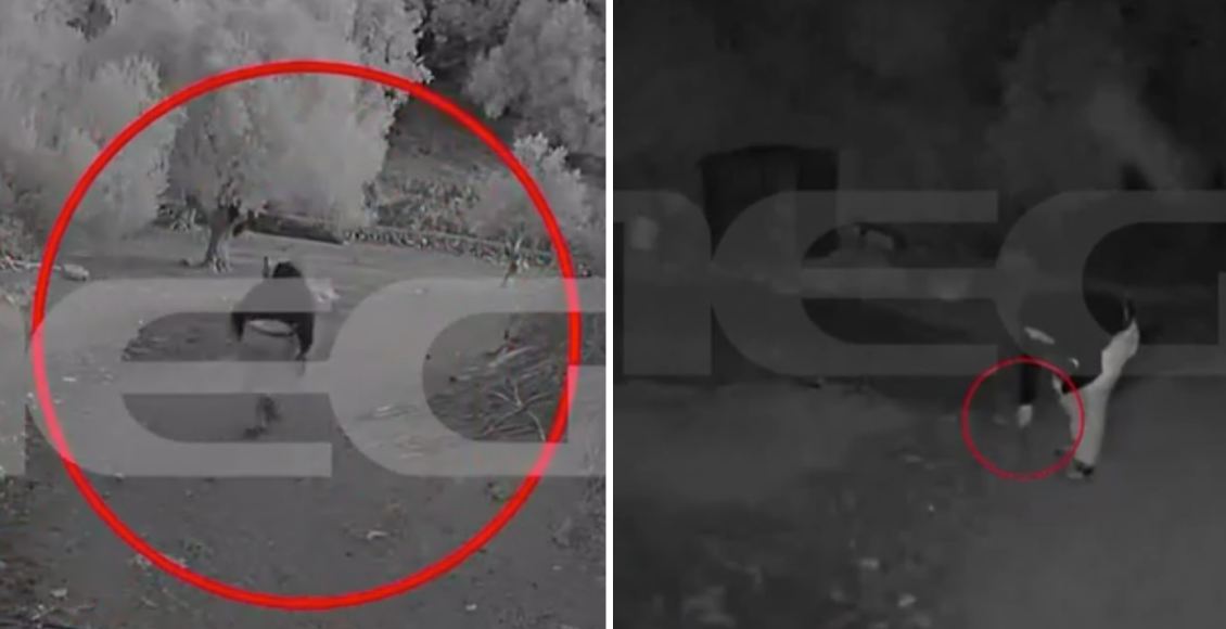 «Με-άφησαν-πεθαμένο,-μου-έκοψαν-τη-γλώσσα»:-Συγκλονίζει-ο-κτηνοτρόφος-από-το-Ρέθυμνο-για-το-καρτέρι-θανάτου