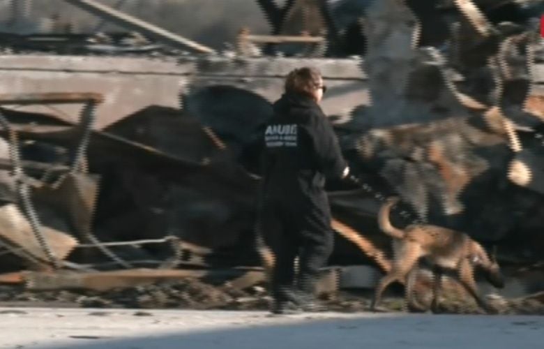 Με-την-βοήθεια-εκπαιδευμένων-σκύλων-συνεχίζονται-οι-έρευνες-στη-«Βιολάντα»-για-τη-φονική-έκρηξη