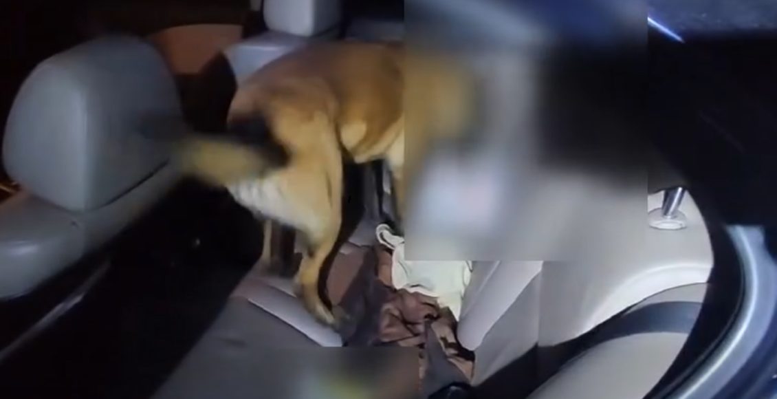 Η-Ίρις-«μύρισε»-μισό-κιλό-ηρωίνης-στο-Κιλκίς-–-Δύο-συλλήψεις