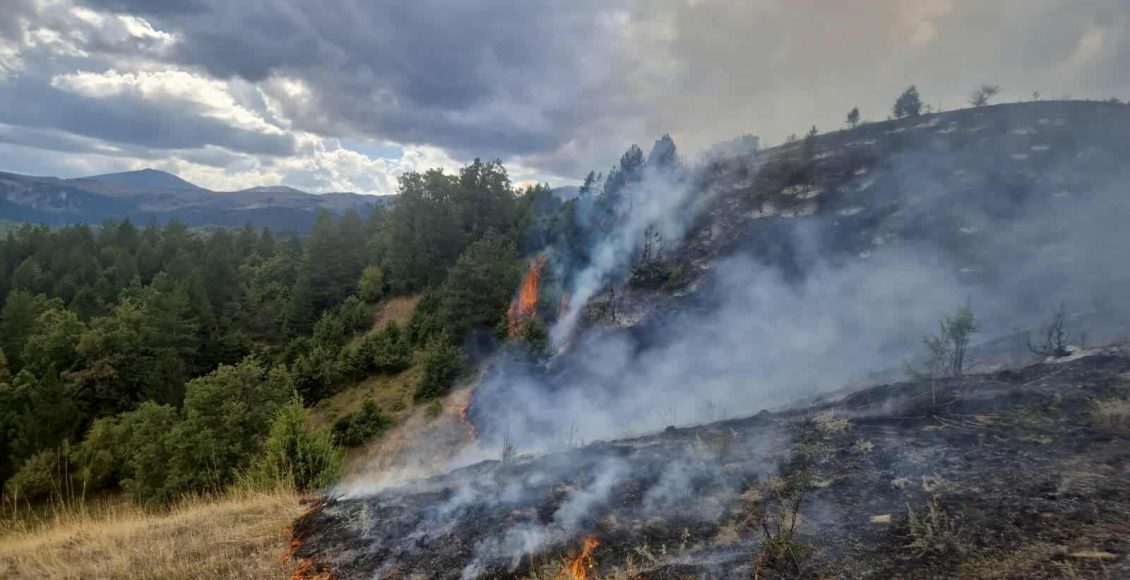 Αχαΐα:-Φωτιά-στην-Αρραβωνίτσα-Αιγιαλείας