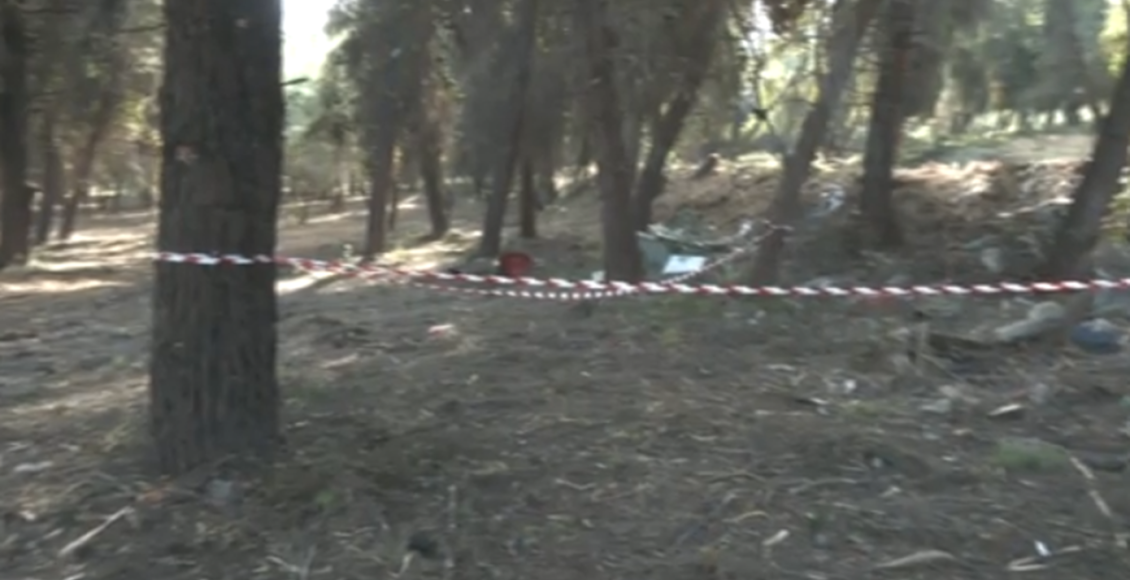 Συγκλονίζει-ο-άνθρωπος-που-βρήκε-τη-νεκρή-γυναίκα-στην-Χαλκιδική:-«Έψαχνα-το-πηγάδι-και-τελικά-εντόπισα-το-πτώμα»