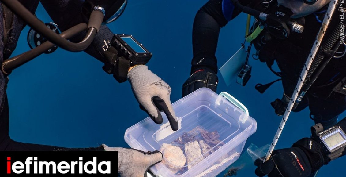 Νέα-ευρήματα-από-το-ιστορικό-ναυάγιο-«Μέντωρ»-Εντοπίστηκε-θραύσμα-γλυπτού-διακόσμου-από-το-πολύτιμο-φορτίο-του,-δείτε-εικόνες