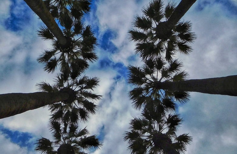 Ο-καιρός-της-Δευτέρας,-23-Μαρτίου-2026