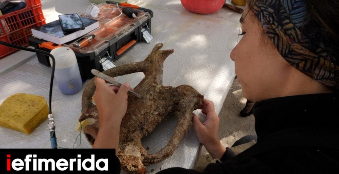 Όσα-εντόπισαν-δύτες-στον-βυθό-της-Καρπάθου:-Δύο-ναυάγια,-αγγεία-Σπουδαία-αρχαιολογικά-ευρήματα-[εικόνες]