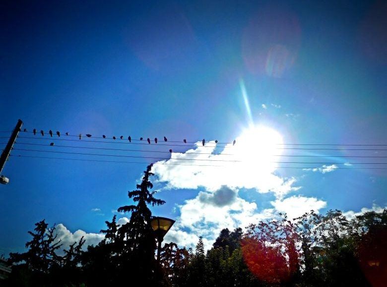 Καιρός:-Αίθριος-με-τοπικές-νεφώσεις-και-μικρή-άνοδο-της-θερμοκρασίας