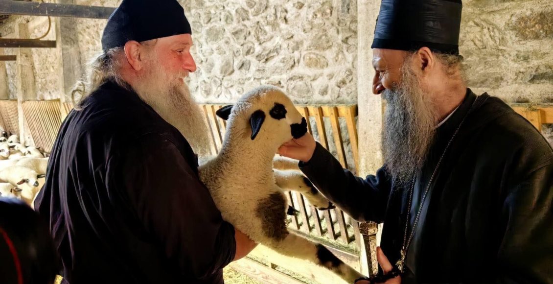 Ο-Πατριάρχης-Σερβίας-επισκέφθηκε-το-κτήμα-της-Ιεράς-Μονής-Βίσοκι-Ντέτσανι