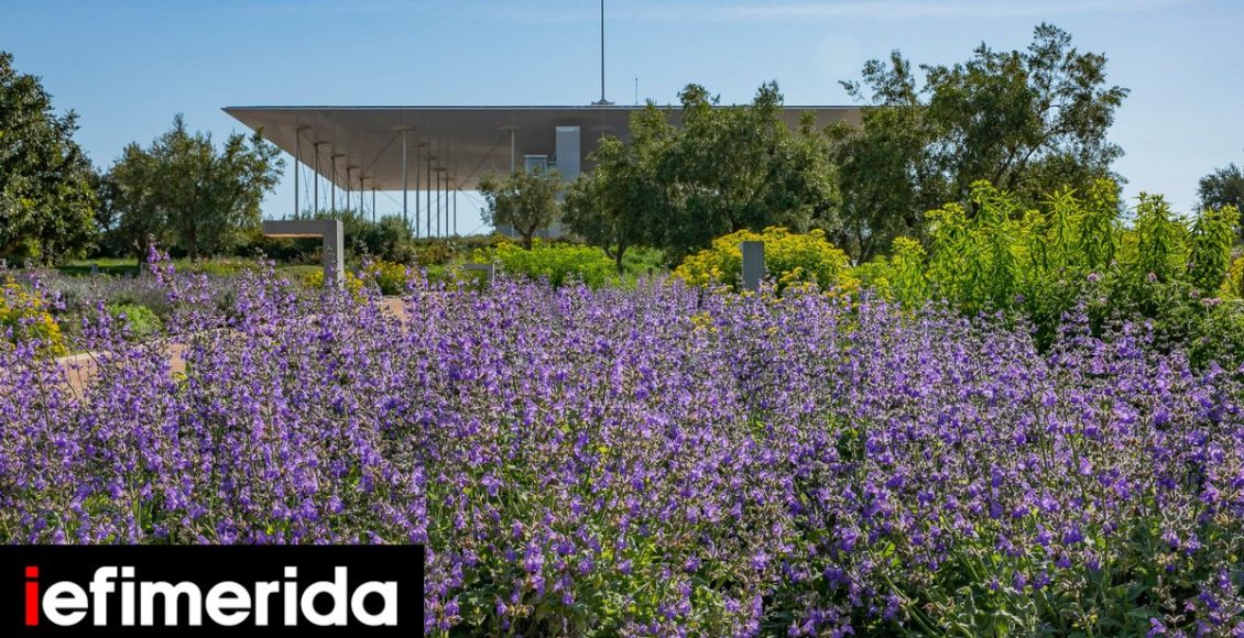 «Πιάνουμε-τον-Μάη»-στην-Αθήνα:-Με-Πασχάλη-στο-ΚΠΙΣΝ,-μαθήματα-κηπουρικής-και-πικ-νικ-στην-Ακαδημία-Πλάτωνος