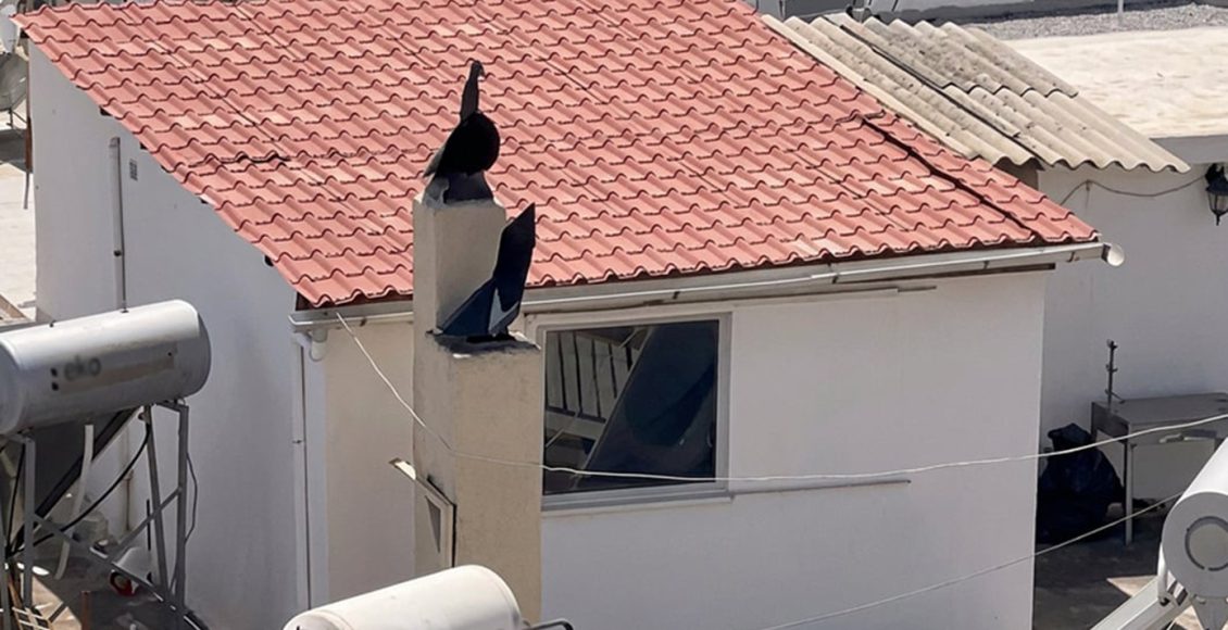 «Ήταν-ατημέλητοι,-δεν-ήξερα-αν-τα-παιδιά-ήταν-αγόρια-ή-κορίτσια-λόγω-εμφάνισης»-–-Έγκυος-και-σε-7ο-παιδί-η-μητέρα-από-το-Περιστέρι