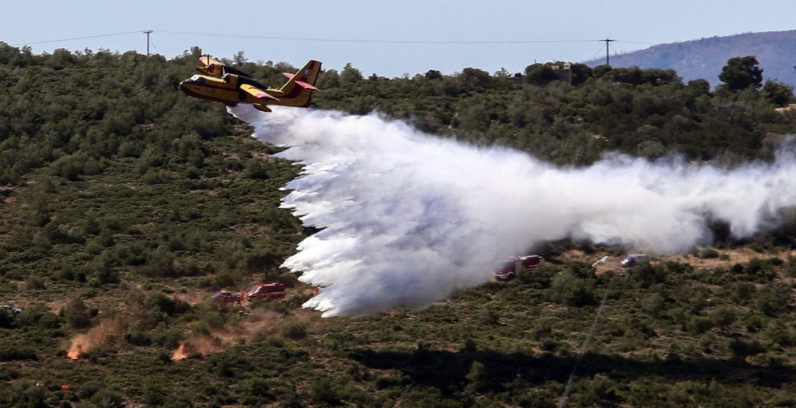 Με-επιτυχία-ολοκληρώθηκε-η-άσκηση-της-ΠΥ-με-την-ονομασία-«ΔΙΑ-ΠΥΡΟΣ-2026»-στο-Δασόκτημα-Ωραιοκάστρου
