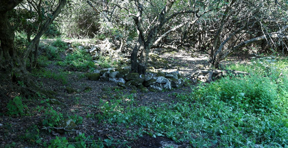 Γιατί-άργησε-τόσο-να-εντοπιστεί-η-σορός-του-33χρονου-γιατρού-–-Οι-πρώτες-εκτιμήσεις-για-τον-θάνατο-του-Αλέξη-Τσικόπουλου