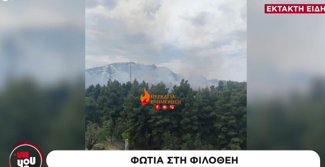 Φωτιά-σε-χαμηλή-βλάστηση-στη-Φιλοθέη
