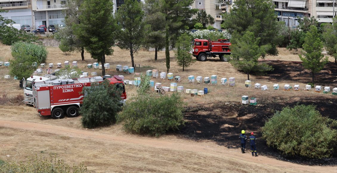Συνελήφθη-45χρονος-μελισσοκόμος-για-τη-φωτιά-στο-Άλσος-Βεΐκου-–-Του-επιβλήθηκε-πρόστιμο-3.557,81-ευρώ