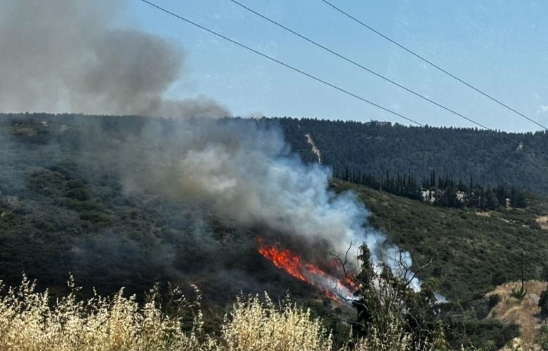 Φωτιά-σε-χαμηλή-βλάστηση-στο-Φίλυρο-Θεσσαλονίκης-–-Ήχησε-το-112