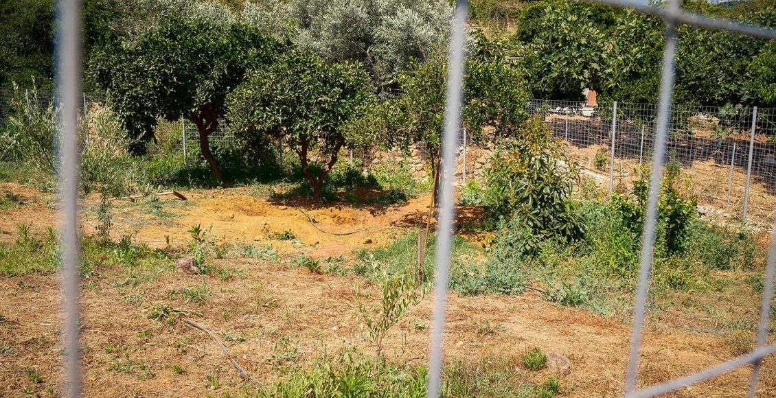Δολοφονία-της-Σταυρούλας-Λεβεντάκη:-«Πήρα-ένα-κούτσουρο-και-την-αποτελείωσα»-–-Σοκ-προκαλεί-η-κυνική-ομολογία-του-43χρονου-καθ’-ομολογίαν-δράστη