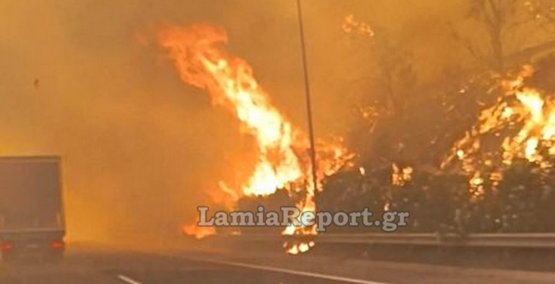 Φωτιά-στο-Ακραίφνιο-Βοιωτίας:-Οχήματα-περνούσαν-μέσα-από-τις-φλόγες-στην-εθνική-οδό