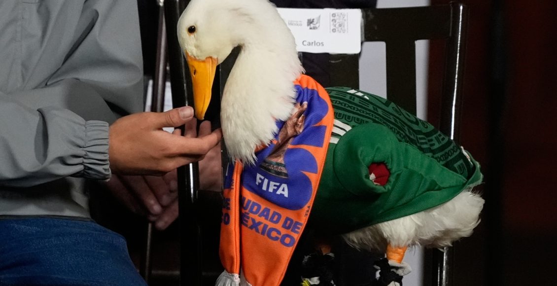 Μουντιάλ-2026:-Η-fifa-απαγόρευσε-στη-διάσημη-πάπια,-Μέρλιν-να-μπει-στο-γήπεδο