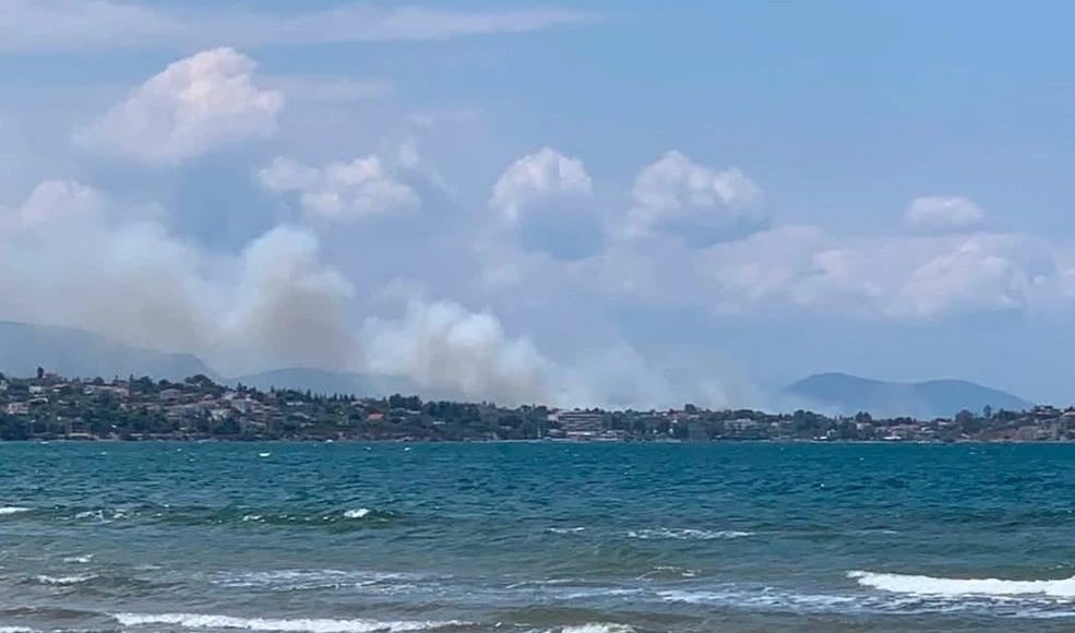 Φωτιά-σε-χαμηλή-βλάστηση-στη-Δροσιά-Χαλκίδας-–-Εστάλη-μήνυμα-από-το-112