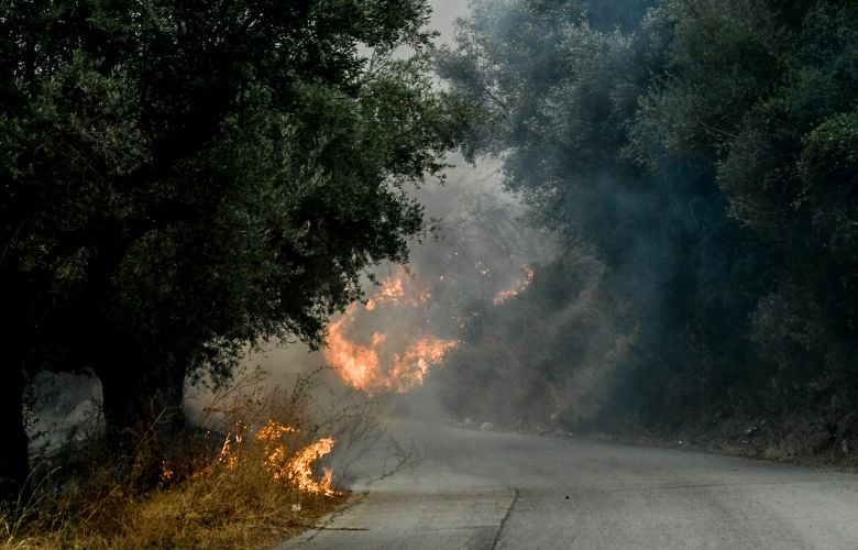 Ρεκόρ-συλλήψεων-για-εμπρησμούς-από-αμέλεια-το-τελευταίο-διήμερο