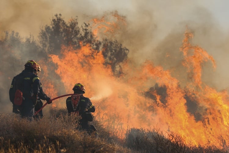 Φωτιά-στο-Βαρθολομιό-Ηλείας-–-Μήνυμα-από-το-112