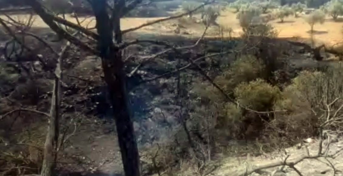 Επιχείρηση-κατάσβεσης-της-πυρκαγιάς-στην-Πάρο:-86-πυροσβέστες-στη-μάχη-–-Ο-καπνός-επηρέασε-Κυκλάδες-και-περιοχές-της-βόρειας-Κρήτης