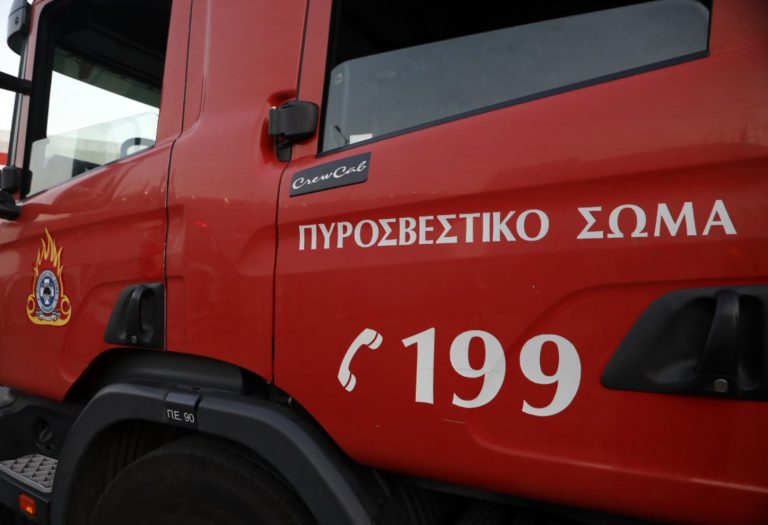 Κ.-Τσίγκας-στο-ΕΡΤnews:-«Οι-περισσότερες-πυρκαγιές-φαίνεται-να-ξεκίνησαν-από-αμέλεια»-–-Οκτώ-συλλήψεις