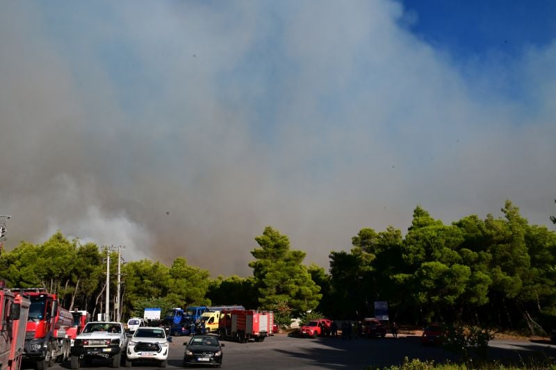 Δύο-συλλήψεις-για-την-μεγάλη-πυρκαγιά-που-εκδηλώθηκε-στη-Βοιωτία-και-επεκτάθηκε-στην-Αττική