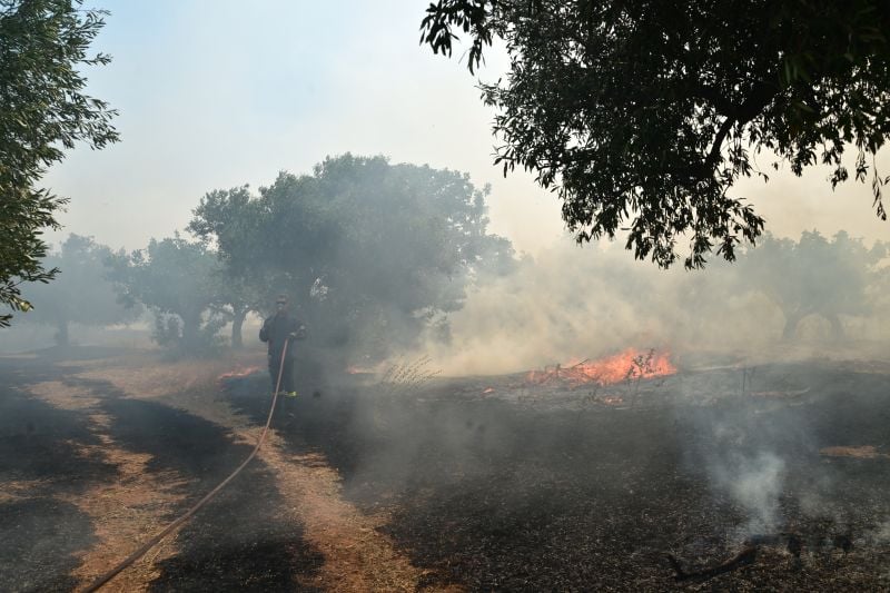 Μηνύματα-του-112-για-την-εκκένωση-των-περιοχών-Κανδύλι,-Αγία-Σκέπη-και-της-βιομηχανικής-περιοχής-των-Μεγάρων-–-Κυκλοφοριακές-ρυθμίσεις