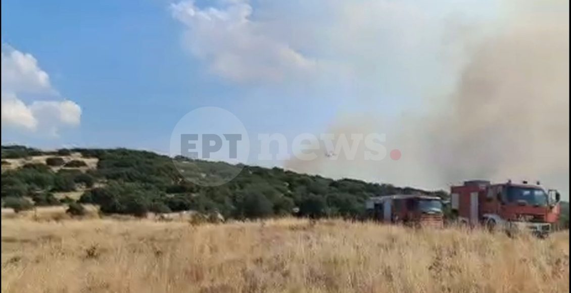 Φωτιά-στο-Στεφάνι-Κορινθίας:-Επιχειρούν-ισχυρές-δυνάμεις-–-Από-φωτοβολταϊκά-ξεκίνησε-η-πυρκαγιά,-σύμφωνα-με-τον-αντιδήμαρχο-Κορίνθου