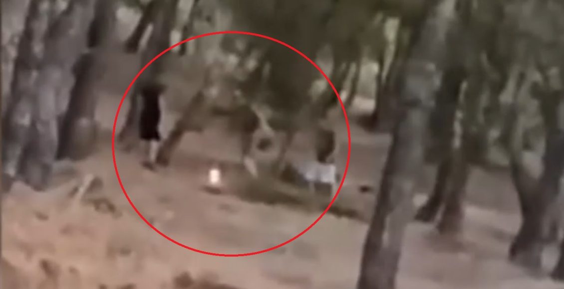 Τρομακτικό-challenge-ανηλίκων-στα-Βριλήσσια:-Βάζουν-φωτιά-και-μετά-προσπαθούν-να-τη-σβήσουν-–-Δείτε-βίντεο