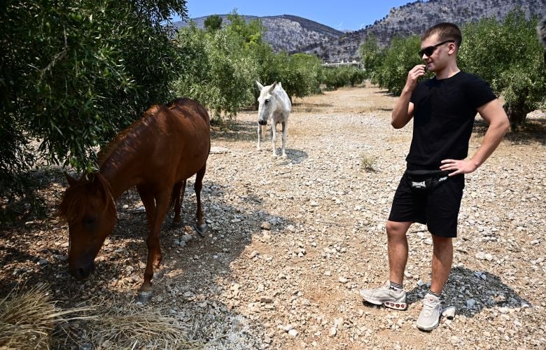 Διασώθηκαν-282-πυρόπληκτα-ζώα-από-την-μεγάλη-φωτιά-που-ξεκίνησε-στην-Βοιωτία-και-συνεχίστηκε-στην-Δυτική-Αττική