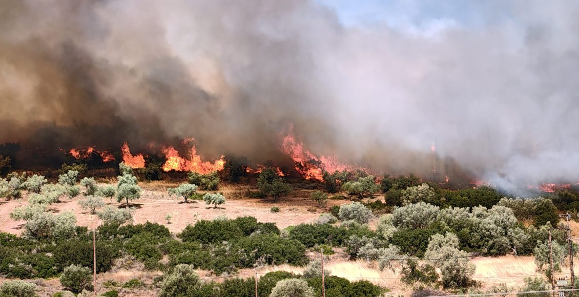 Υπό-έλεγχο-η-πυρκαγιά-σε-αγροτική-έκταση-στην-Αιγιαλεία