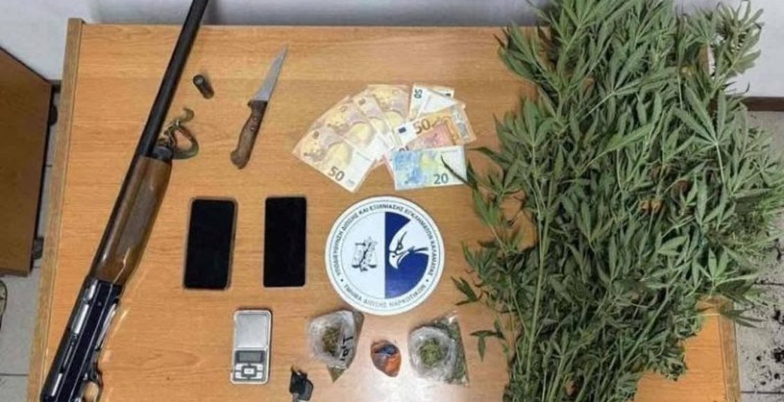 Εντοπίστηκε-φυτεία-με-267-δενδρύλλια-κάνναβης-στη-Μεσσηνία-–-Τρεις-συλλήψεις