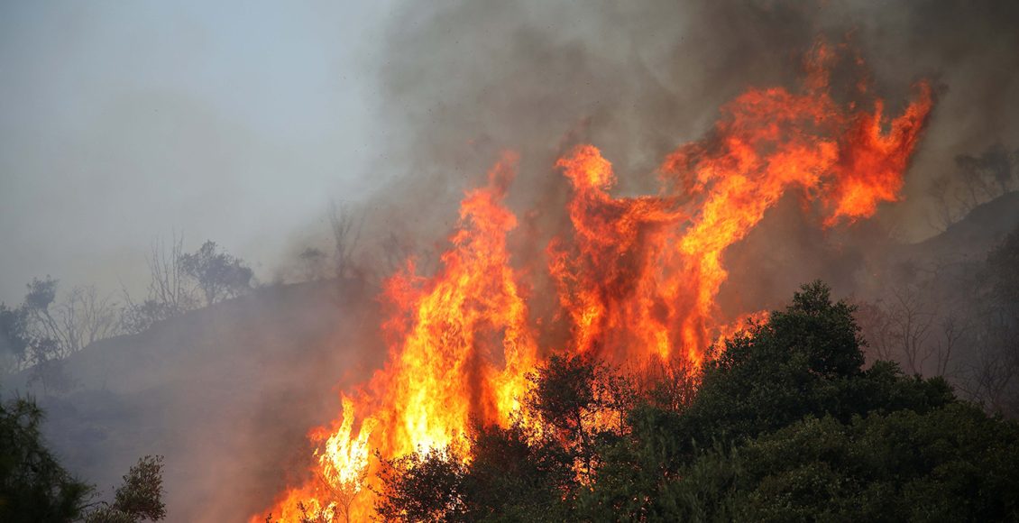 Μεσσηνία:-60χρονος-συνελήφθη-για-εμπρησμούς,-αφέθηκε-ελεύθερος-και-έβαλε-ξανά-φωτιές
