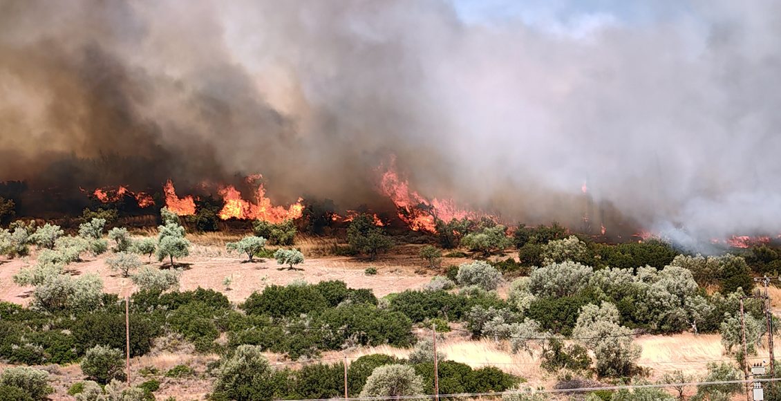 Πέντε-συλλήψεις-για-πυρκαγιές-σε-Νέα-Μάκρη,-Πρέβεζα,-Εύβοια,-Χίο-και-Άγιο-Όρος-–-Μία-έβαλε-80χρονη-που-άναψε-καντήλι-σε-νεκροταφείο