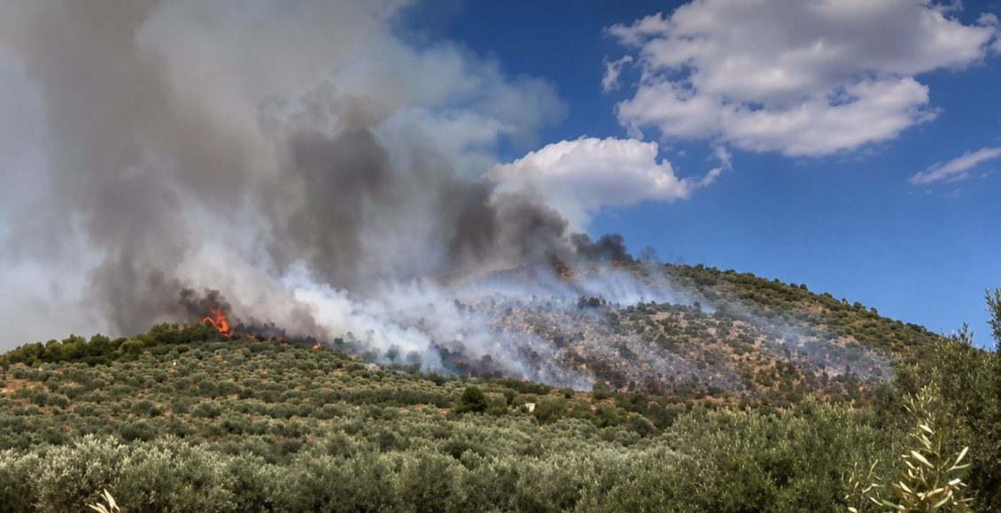 Εύβοια:-40χρονος-ομολόγησε-τρεις-εμπρησμούς-–-Επικαλέστηκε-τη-συμπεριφορά-συγχωριανών-του