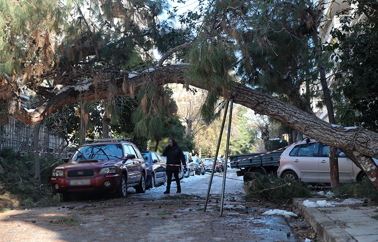 Η-Πυροσβεστική-δέχθηκε-δεκάδες-κλήσεις-για-κοπές-δέντρων-και-αφαιρέσεις-αντικειμένων-λόγω-των-ισχυρών-ανέμων-στην-Αττική